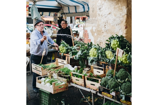 Vegetables being sold on a market.